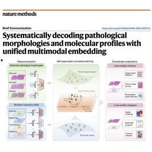 988-Multi-Embed: Decoding Pathological Morphologies