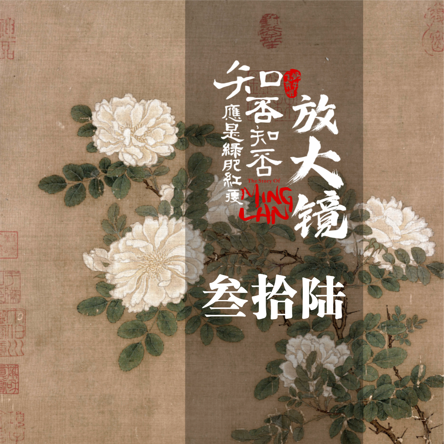 知否放大镜36：这个小姑娘，活得像太阳 episode artwork