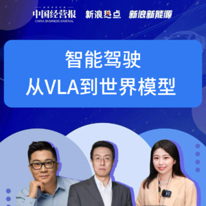 第332集 智能驾驶，从VLA到世界模型