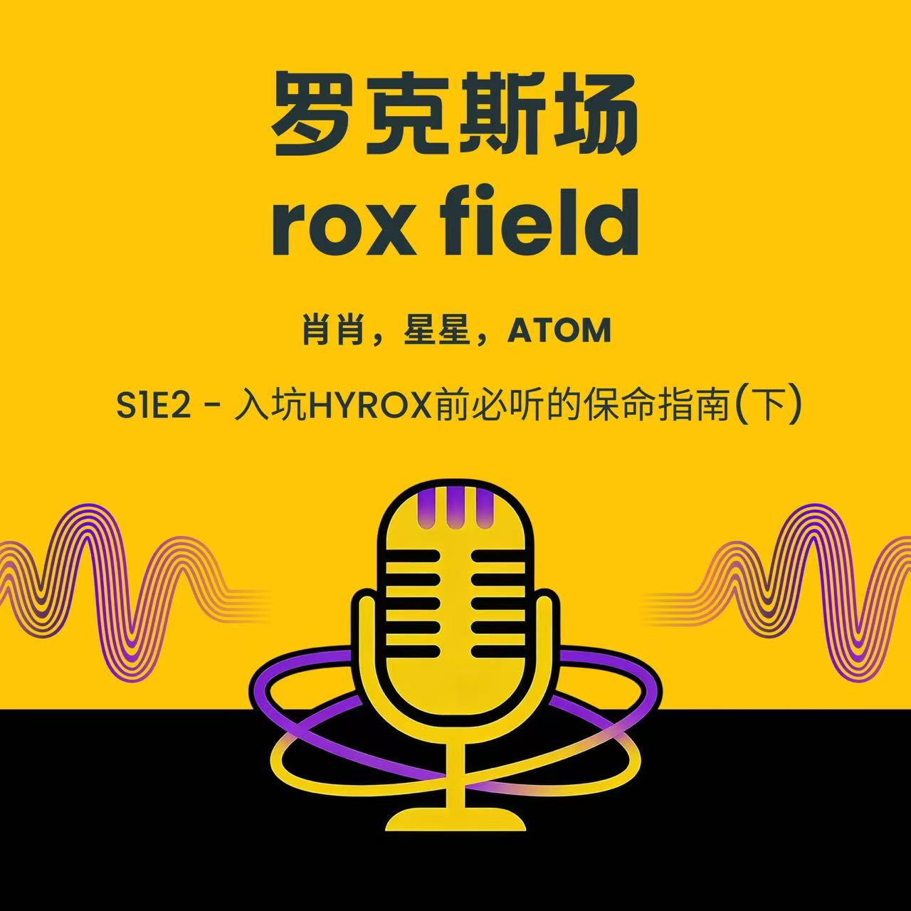 S1E2 - 入坑HYROX前必听的保命指南（下） episode artwork