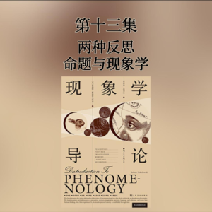 第十三集 两种反思——命题与现象学