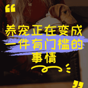 养宠物开始变得像驾驶汽车