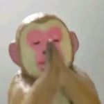什么东西a