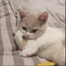 扎心摸仙该有的蛋糕