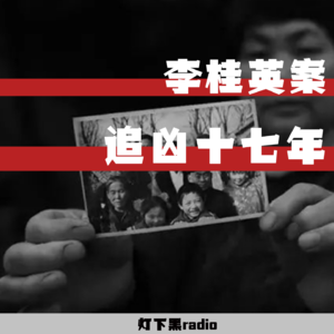 追凶17年，是谁把她变成“福尔摩斯”——女性的力量