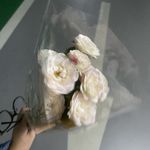 0A鱼吐泡中