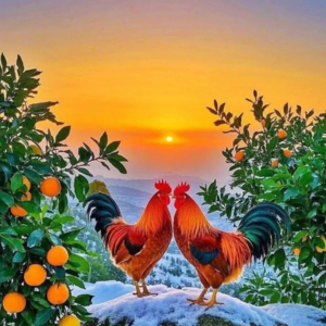 灵兽--大公鸡：去阴霾，镇小人