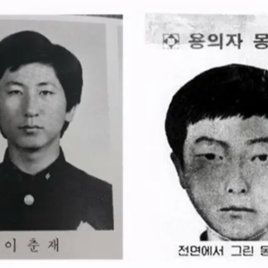 华城市连环杀人案,针对13岁至71岁女性的犯罪