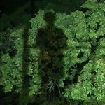 费曼爱登山