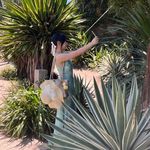 圆脸魚魚睡好觉