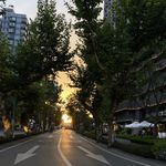 抵制二手烟霸凌