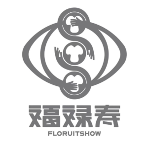 中央音乐学院三胞胎组乐队：从全网泪崩到锒铛入狱，她们到底经历了什么？