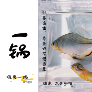 一锅 | 太合：杯喜渔生，养鱼也不想养豆-浦东x柚桑