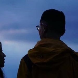 长颈鹿的摄影日记