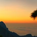 她们都叫我老龚