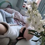 嘻嘻的生活历险记