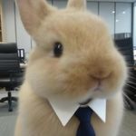 纳西瑟斯飞过玛尼堆