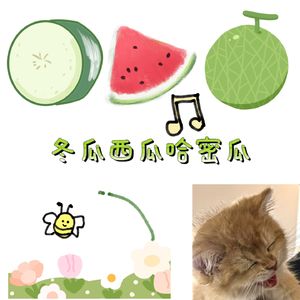 冬瓜西瓜哈密瓜