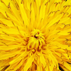 02：清明追忆父亲 | 我想握住你的手&送你一朵小红花