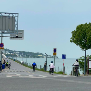 3. 独自旅行 VS 结伴出游，你更喜欢哪一种？