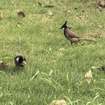 我爱太阳1