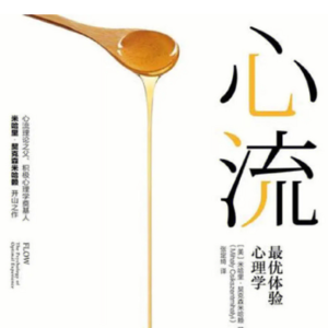 Vol.10 《心流》最接近幸福的状态