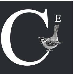 警惕简化：纳粹集中营《普通人》《灭顶与生还》《第三帝国的语言》