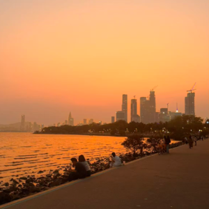 Vol.102 哈佛大学80年幸福研究：真正让人幸福的，是“高质量的关系”​