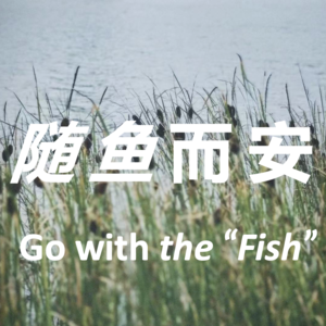 随鱼而安