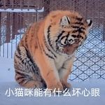 坚强又会被说成冷漠