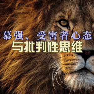 慕强、受害者心态与批判性思维