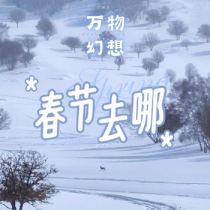 春节去哪