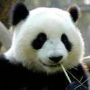 小明_79EB