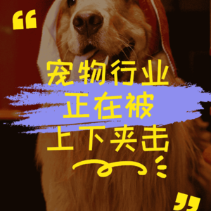 宠物行业正在被上下夹击