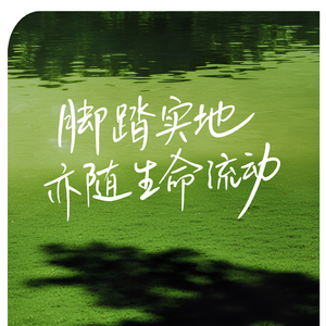 职场成长故事
