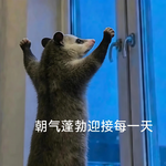 6月emo预警！命运带走错的人，是让你在新生态里重启 | EP51月运
