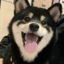 灯灯灯儿