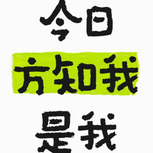vol.08 今日方知我是我|借Stephan Ango 的“年度四十问”,来一场简单粗暴的年度总结