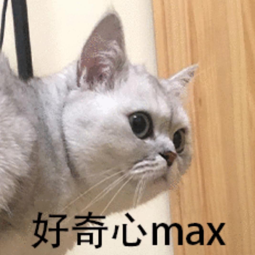 EP77. 如何培养好奇心：猫有了好奇心才知道自己有九条命 episode artwork