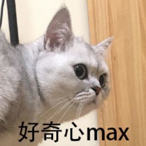 EP77. 如何培养好奇心：猫有了好奇心才知道自己有九条命