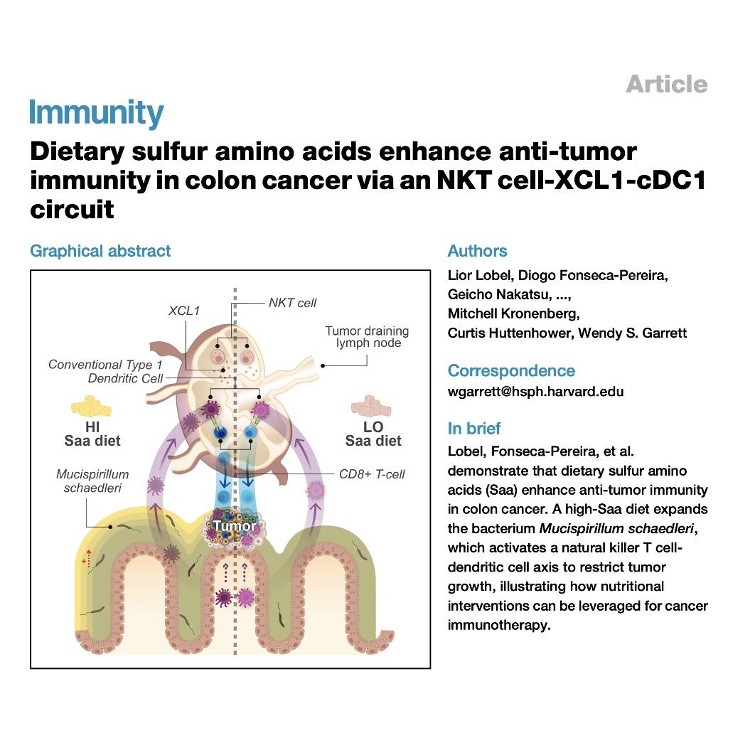 1111-Dietary sulfur amino acids enhance anti-tumor immunity episode artwork