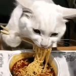 再也不吃小孩了