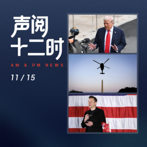 1115资讯晚报 | Meta AI绩效评估;达利食品二代接班;特朗普委内瑞拉决策;马斯克太空AI卫星;日本军衔改...