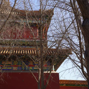 35. 北京到底有谁在啊？有未来的我在