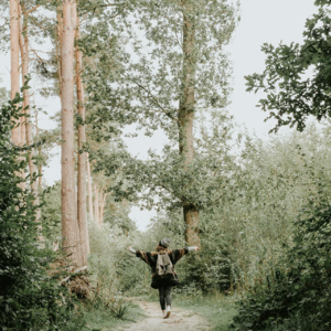 禅修｜不用脑子挺好，乐在其中才轻松自在