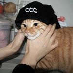 泛化的他人