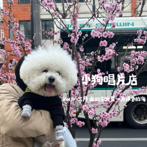 vol.16 三月，我的窗外是一片绿色的海