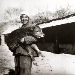 2024-6-25《插队的故事》之坦然面对历史