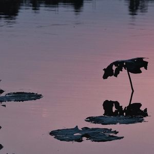 podcaster-avatar
