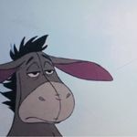 粉色毛驴尤加利